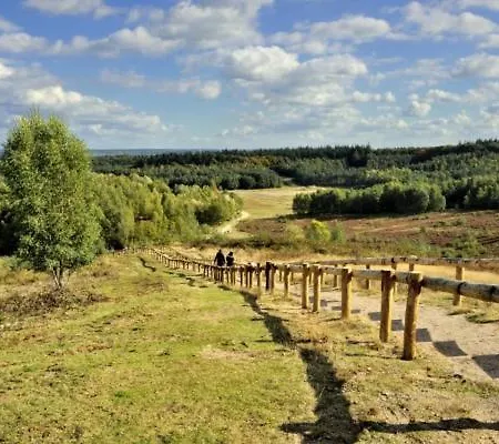 Chalet Veluwe בקתה *