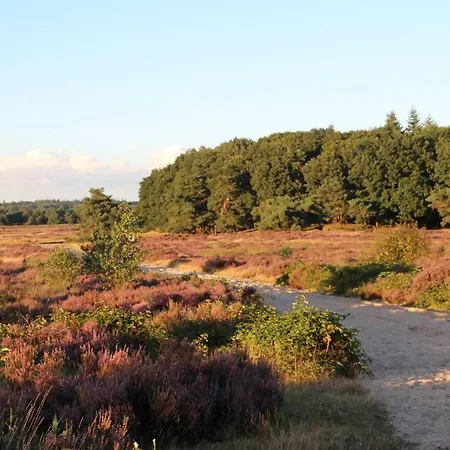 Chalet Veluwe וחנינגן