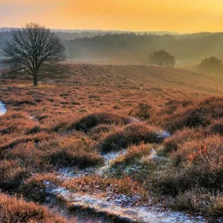Chalet Veluwe בקתה *